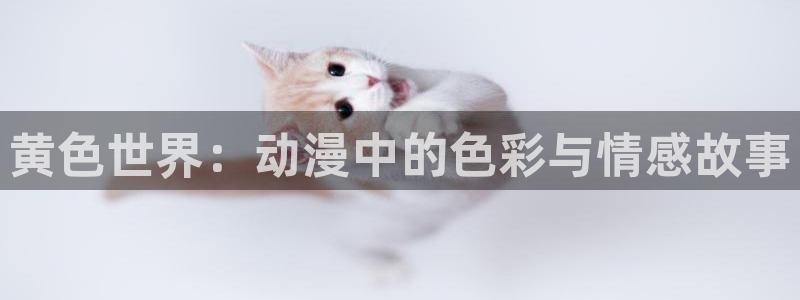 博人传风车动漫在线看：黄色世界：动漫中的色彩与情感故事