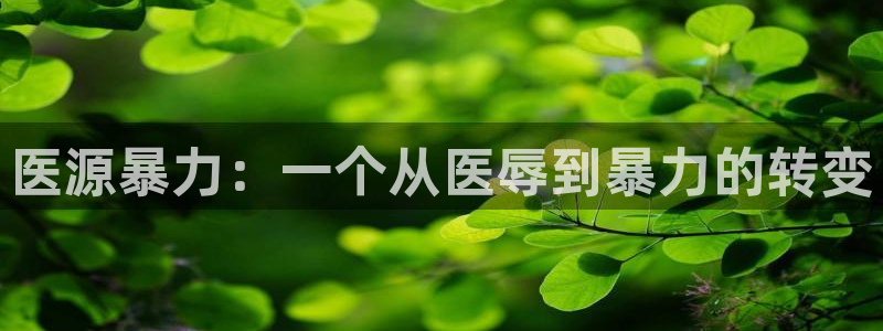 风车动漫航海王：医源暴力：一个从医辱到暴力的转变