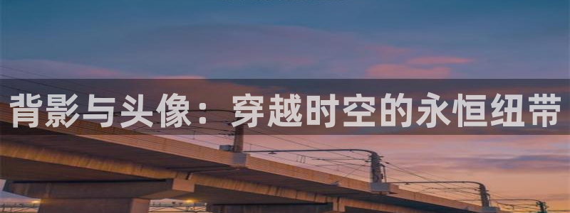 风车动漫呢：背影与头像：穿越时空的永恒纽带