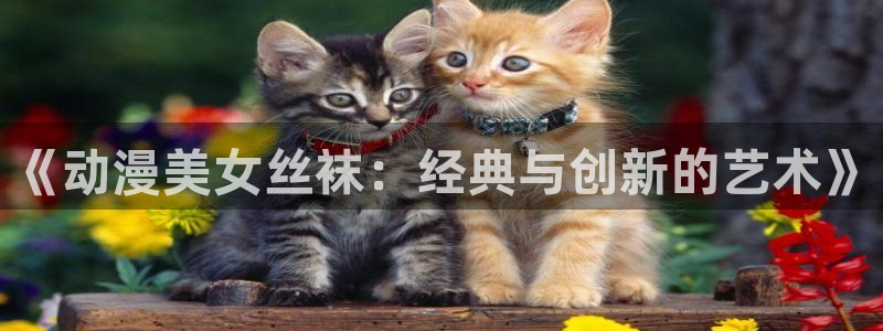 龙珠风车动漫：《动漫美女丝袜：经典与创新的艺术》