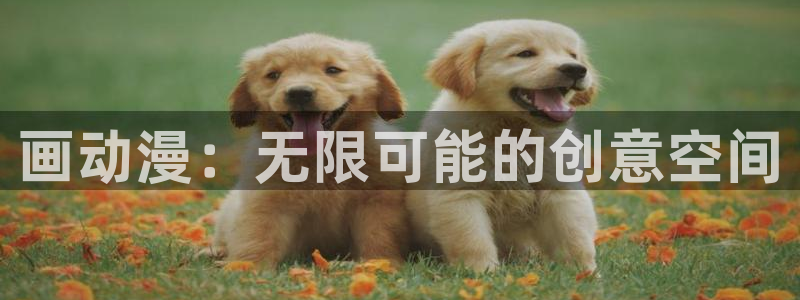 风车动漫樱花动：画动漫：无限可能的创意空间