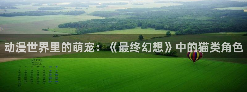 风车漫画动漫官网在线观看：动漫世界里的萌宠：《最终幻想》中的猫类角色